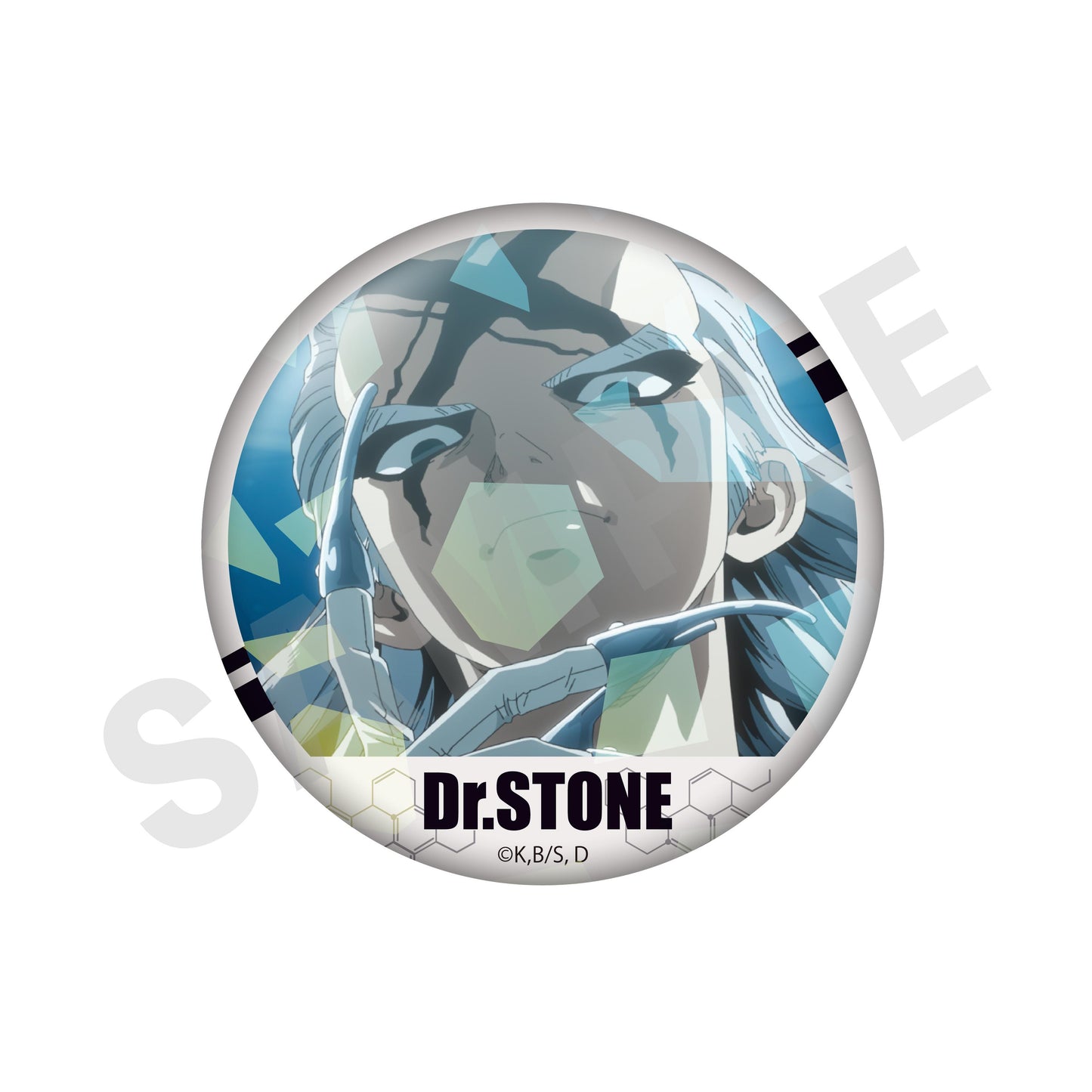 《Dr.STONE 石紀元》 閃亮場景寫真徽章(共10款)【BOX/10個裝】