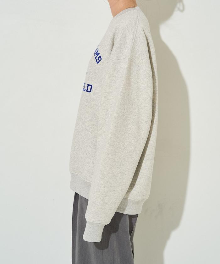 動物學院植絨字母衛衣