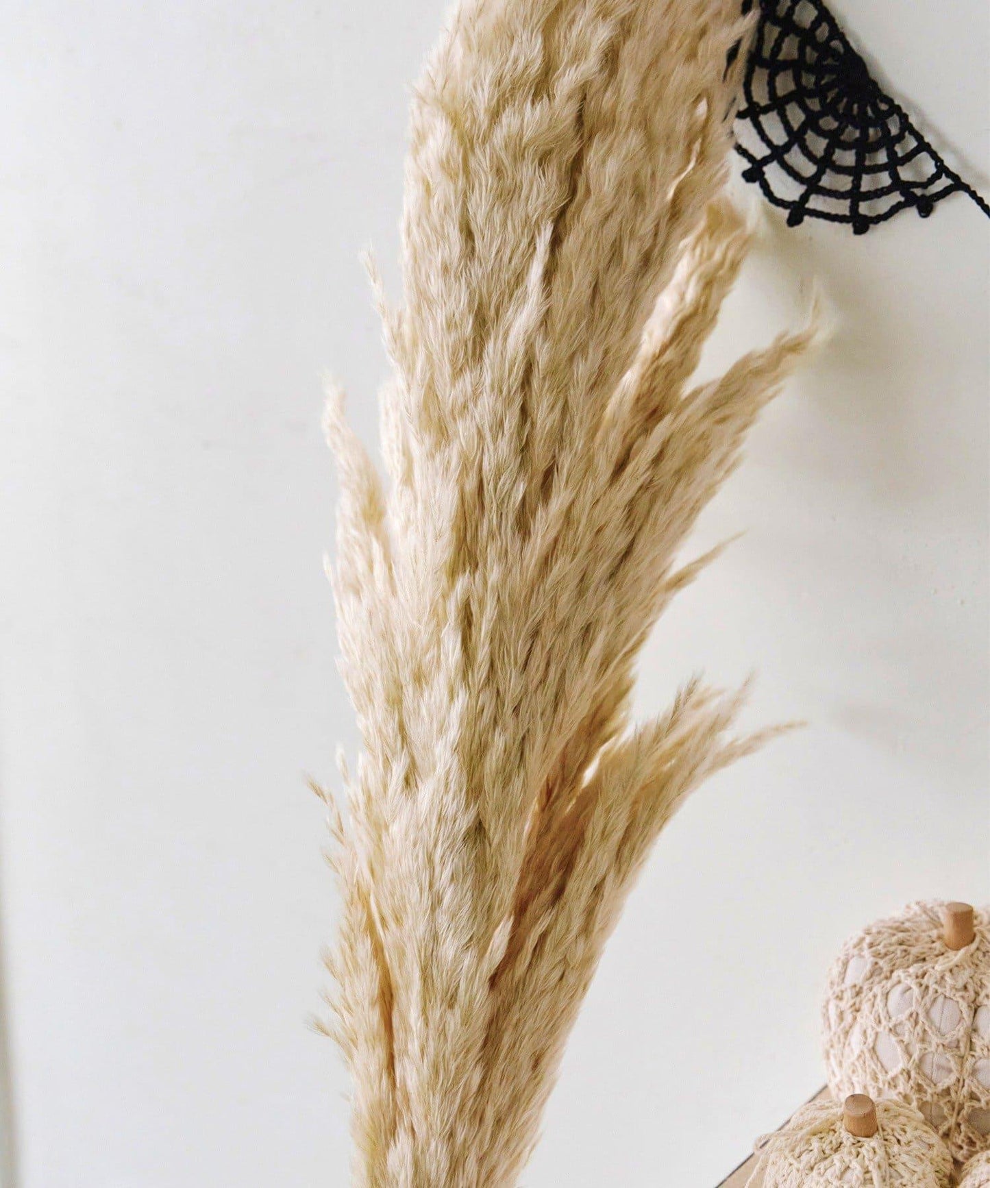 パンパスグラス/Crochet Halloween