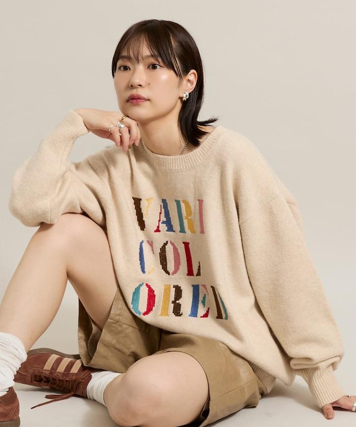 彩色刺繡標誌針織衫