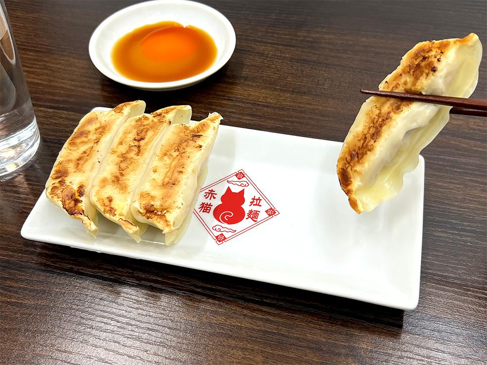 《拉麵赤貓》餃子盤