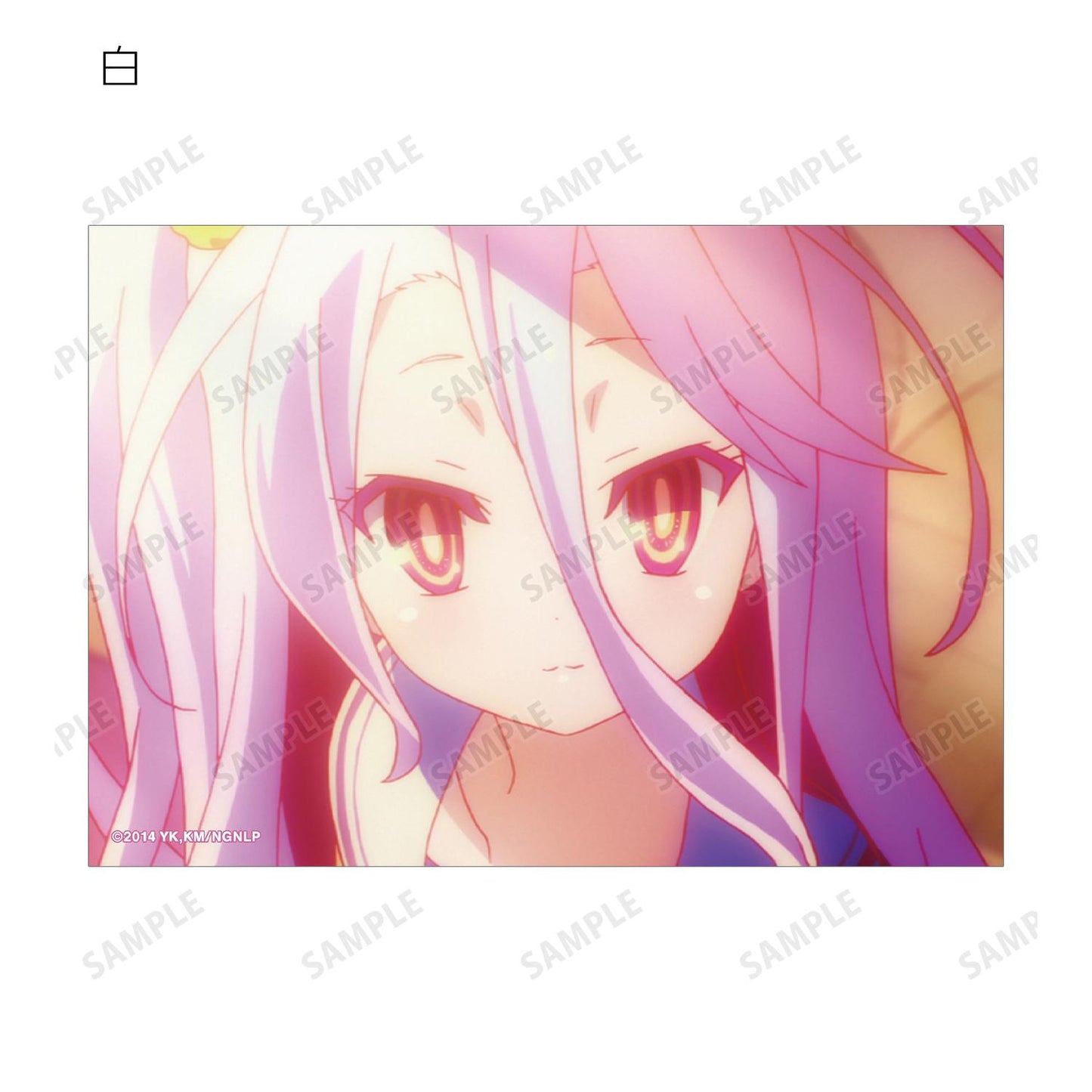 《NO GAME NO LIFE 遊戲人生》 場景寫實寫真卡片(整盒/全套BOX)【BOX/8包入】