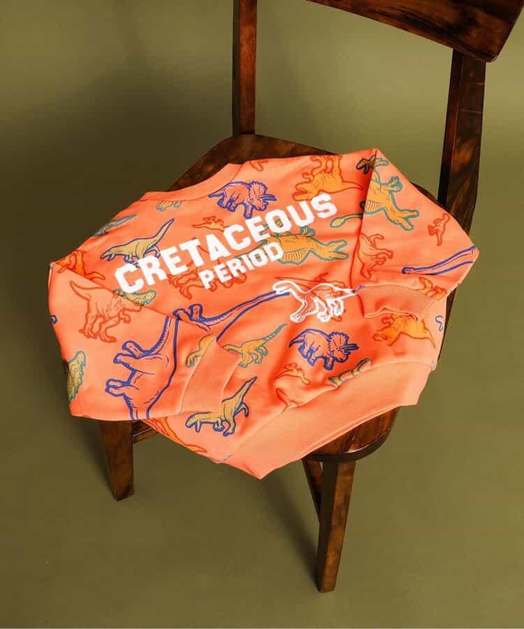 福井縣立恐龍博物館聯名 彩色恐龍全印花衛衣