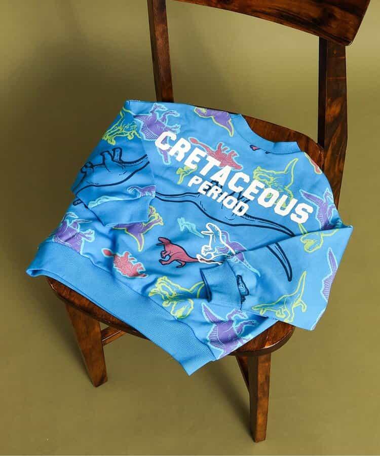 福井縣立恐龍博物館聯名 彩色恐龍全印花衛衣