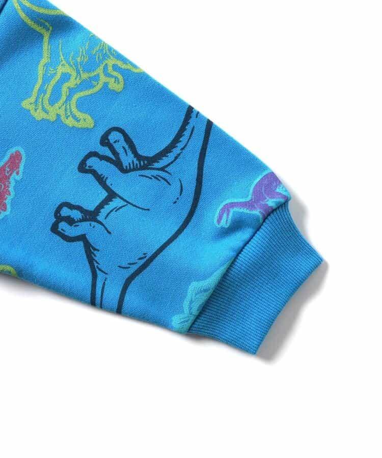 福井縣立恐龍博物館聯名 彩色恐龍全印花衛衣