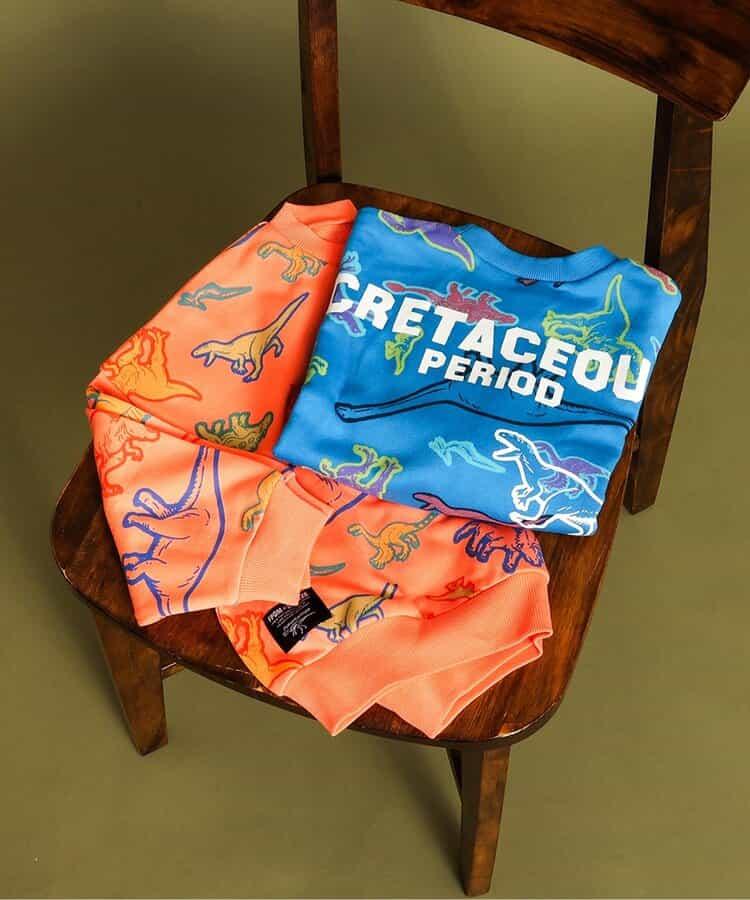 福井縣立恐龍博物館聯名 彩色恐龍全印花衛衣