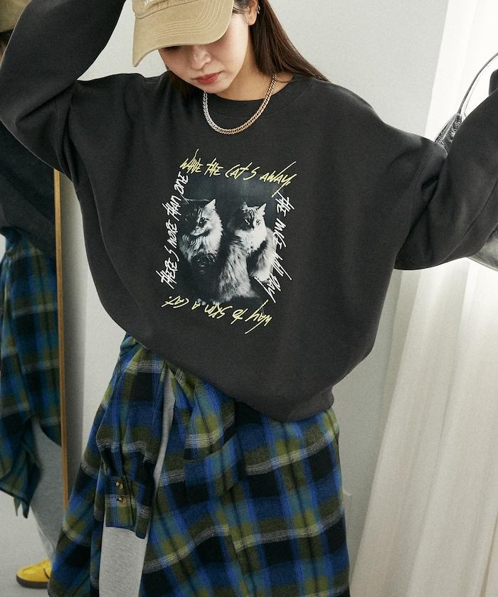 貓咪照片加絨衛衣