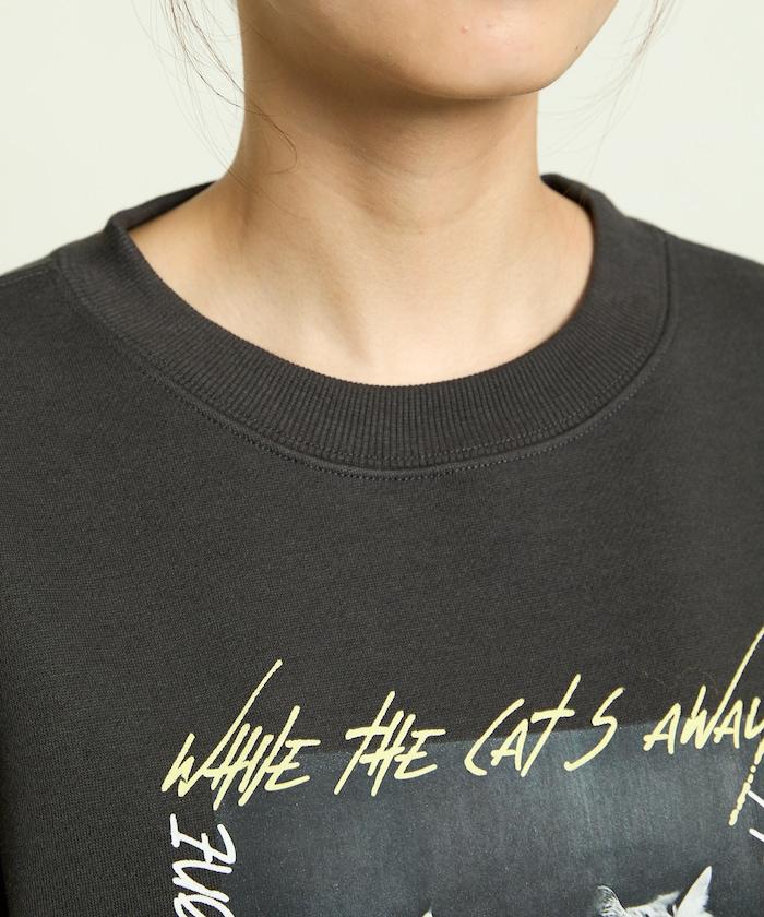 貓咪照片加絨衛衣