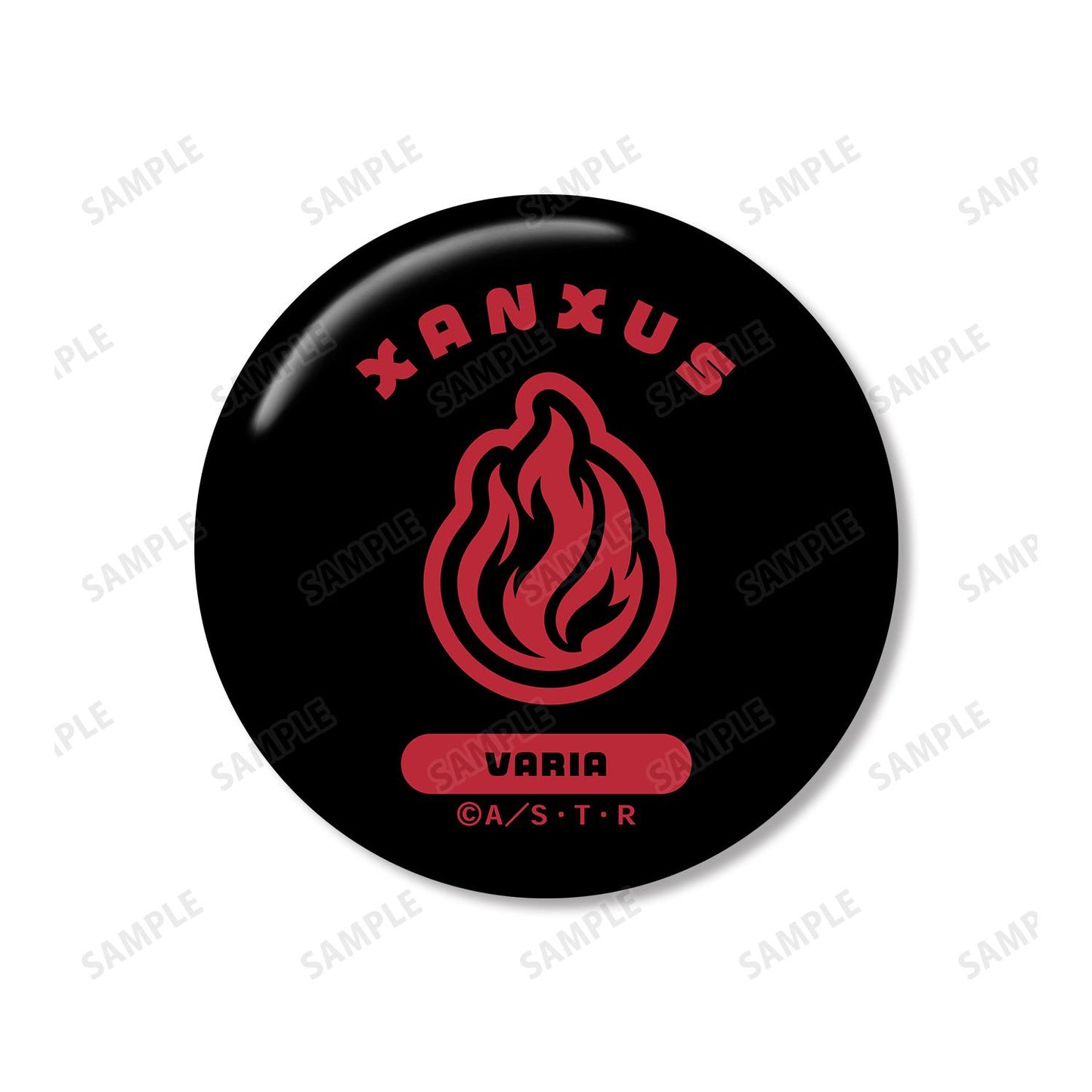 《家庭教師HITMAN REBORN!》XANXUS(10年後)ar-Unity主題姓名設計徽章2個套裝