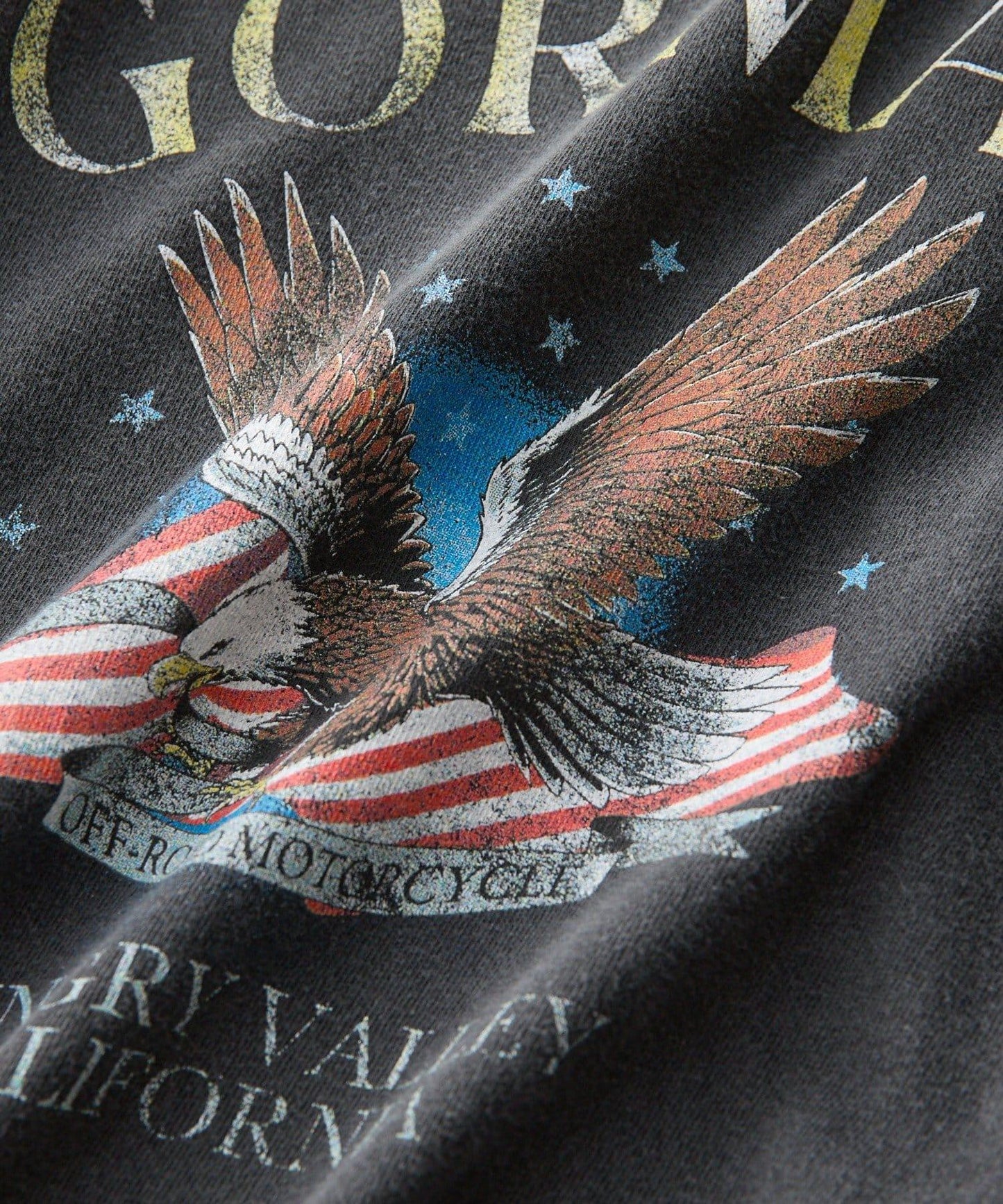 【GOOD ROCK SPEED限定】EAGLE水洗長袖T恤