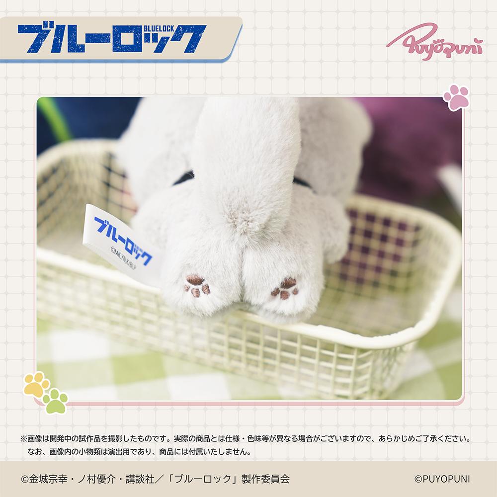 《藍色監獄》_ぷよぷに系列 10cm貓咪毛絨公仔掛件 奧利瓦·愛空