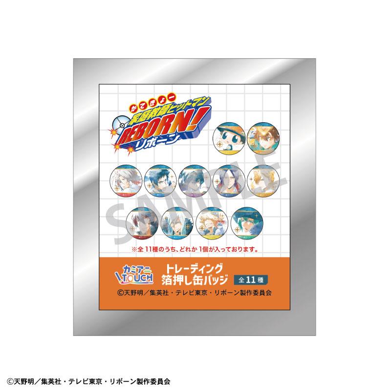 《家庭教師HITMAN REBORN!》交易箔押徽章/カミアニTOUCH 【BOX/11個裝】