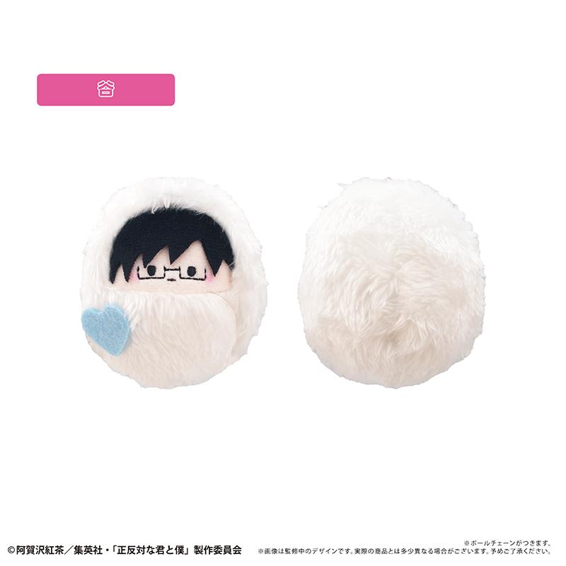 正反對的你與我 くるみたぴぬい 雪人款 【全套BOX/6個裝】