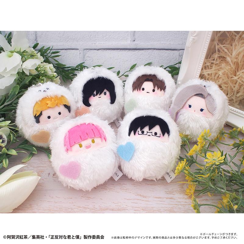 正反對的你與我 くるみたぴぬい 雪人款 【全套BOX/6個裝】
