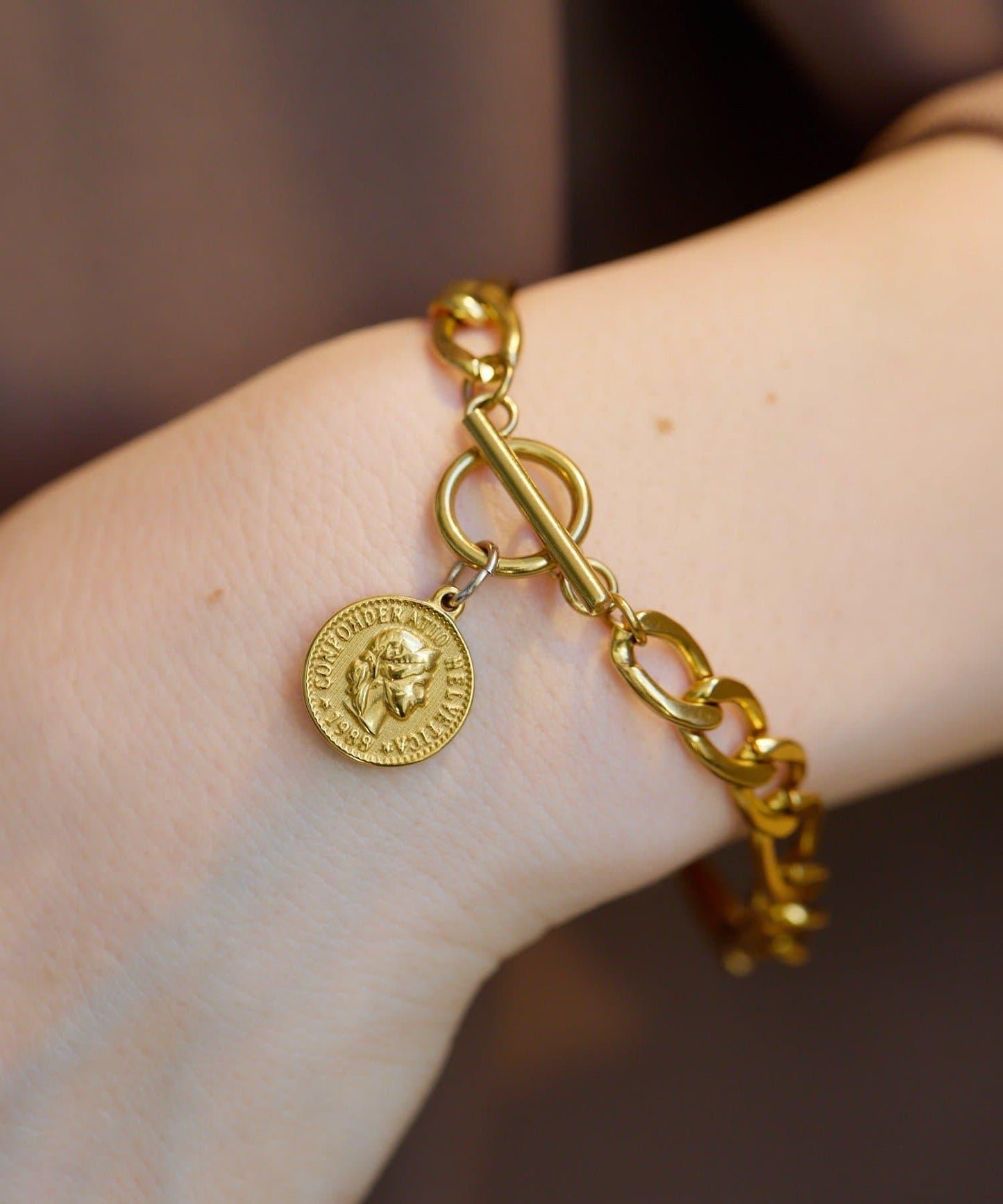 金屬過敏適用/不鏽鋼 帶硬幣吊墜菲加羅手鍊