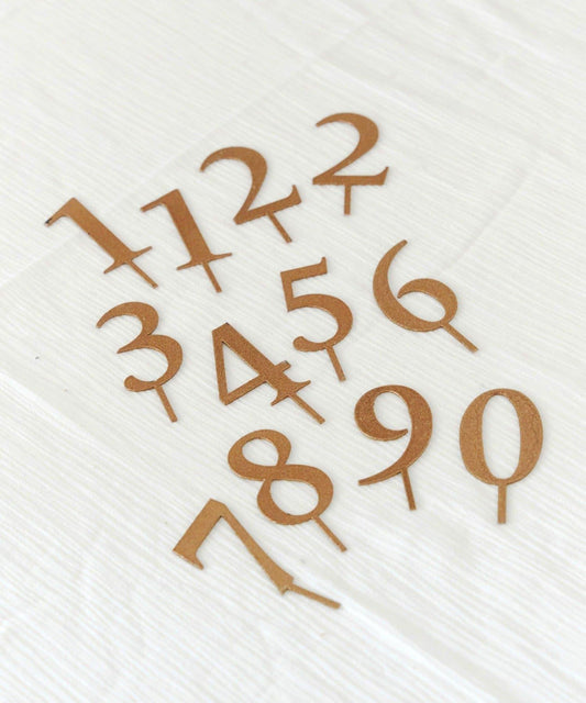 《WEB限定再入荷》ナンバーピックセット/anniversary