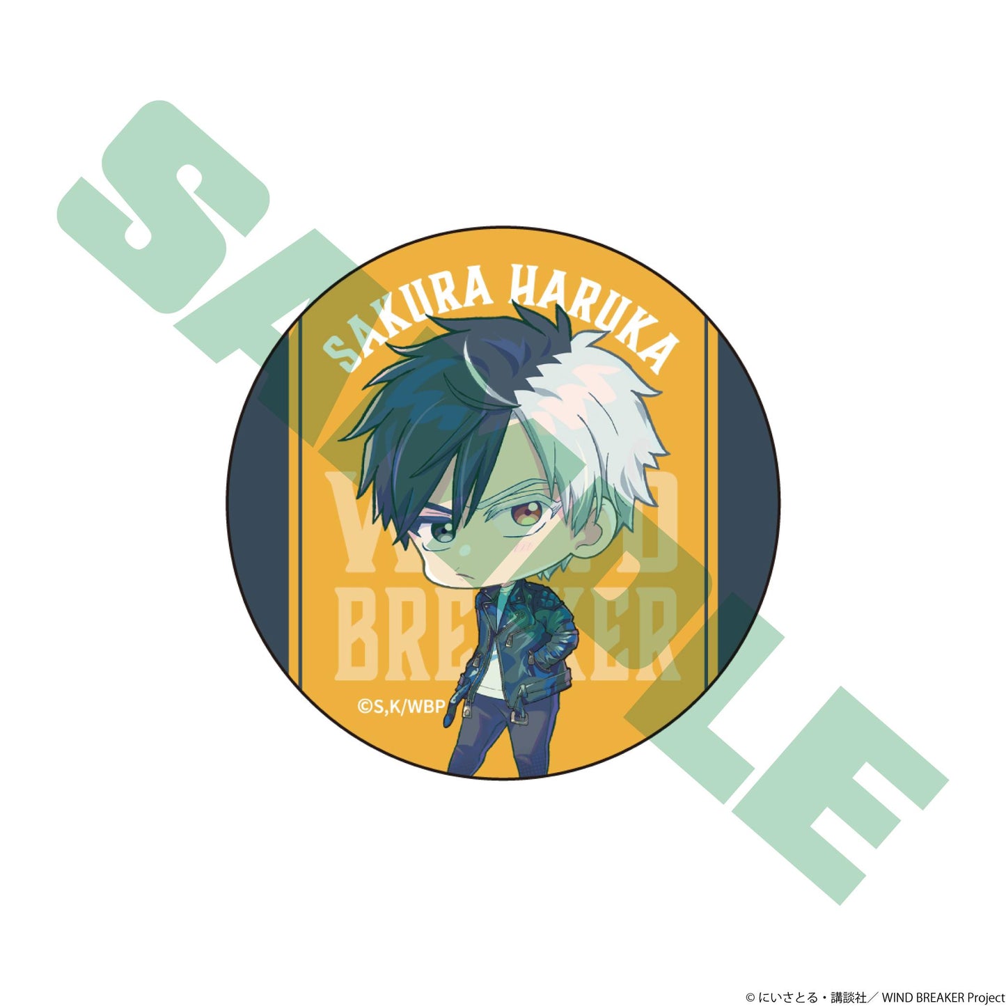 《防風少年》_隨機徽章【BOX/12個裝】