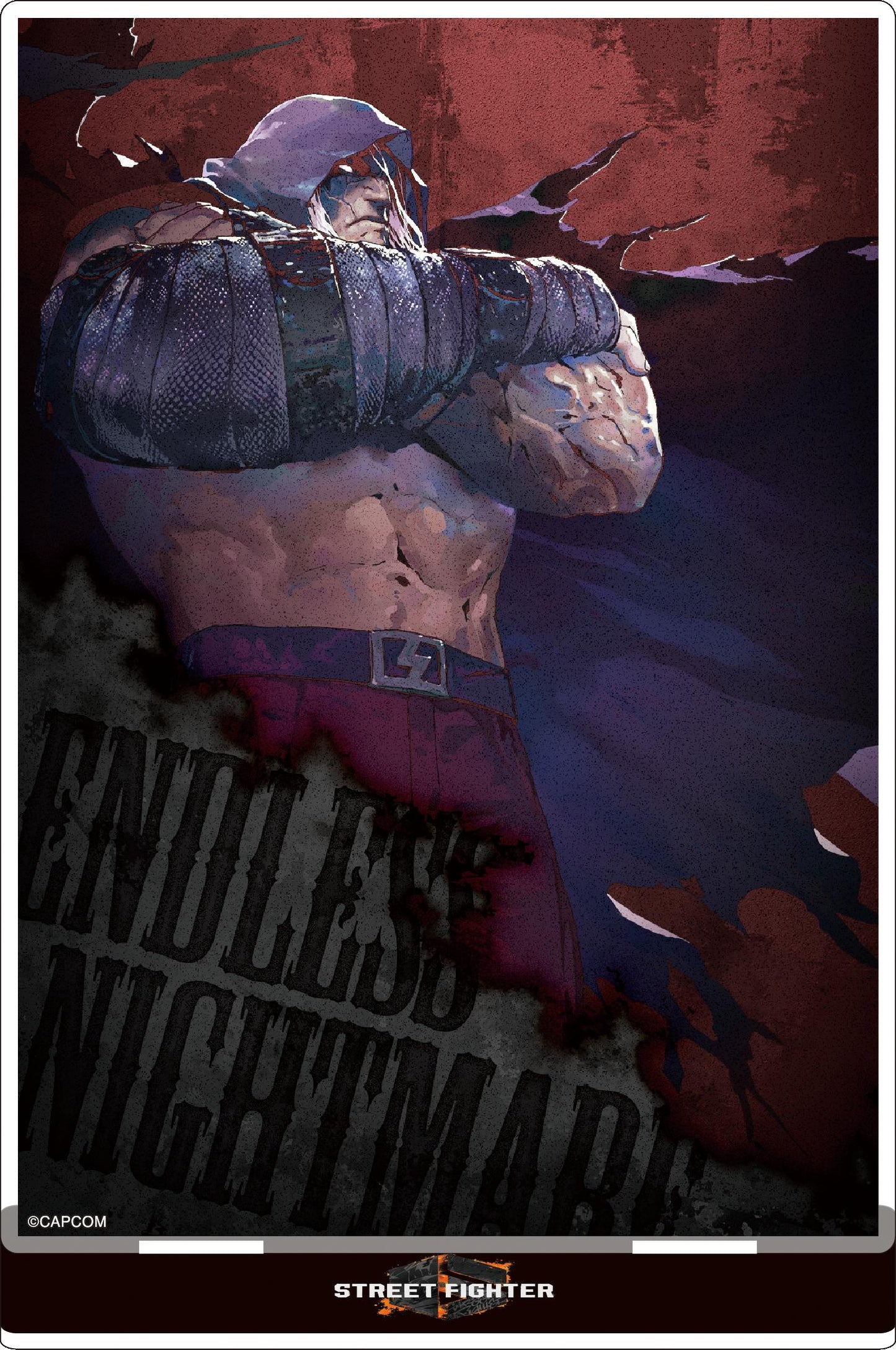 《街頭霸王》6_亞克力立牌/貝加