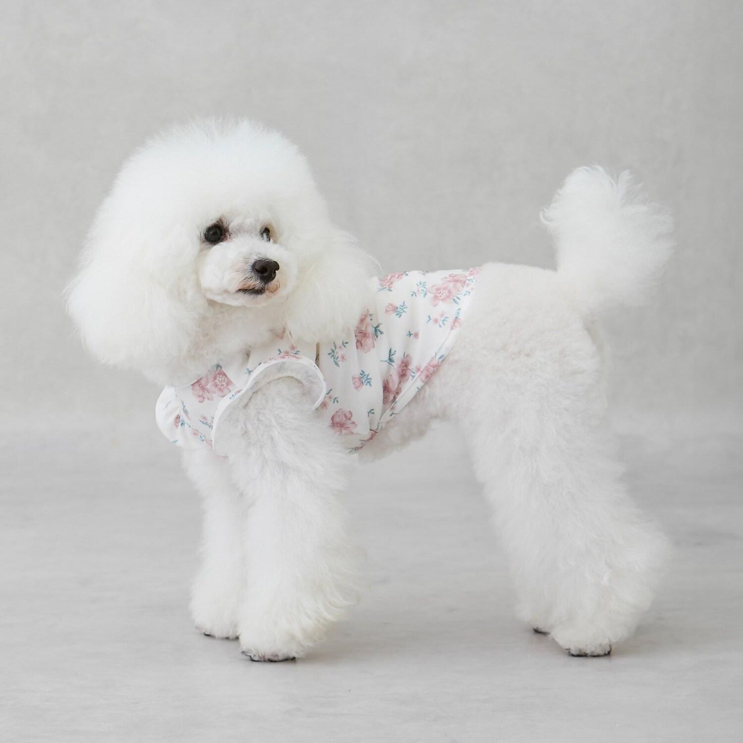 【DOG】【SWIM】荷葉邊圖案背心