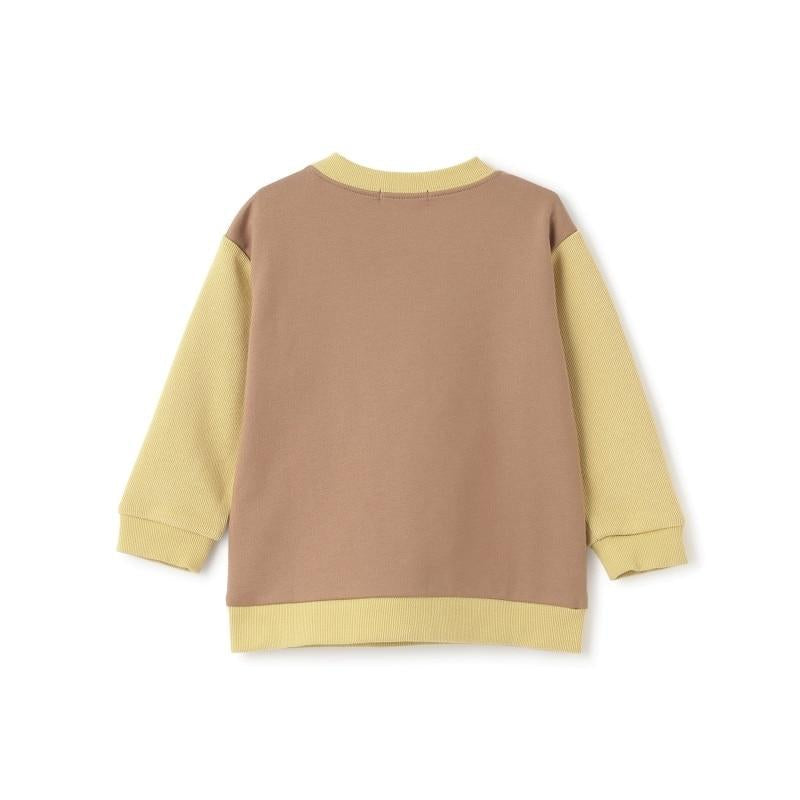 Liberty芫荽恐龍衛衣