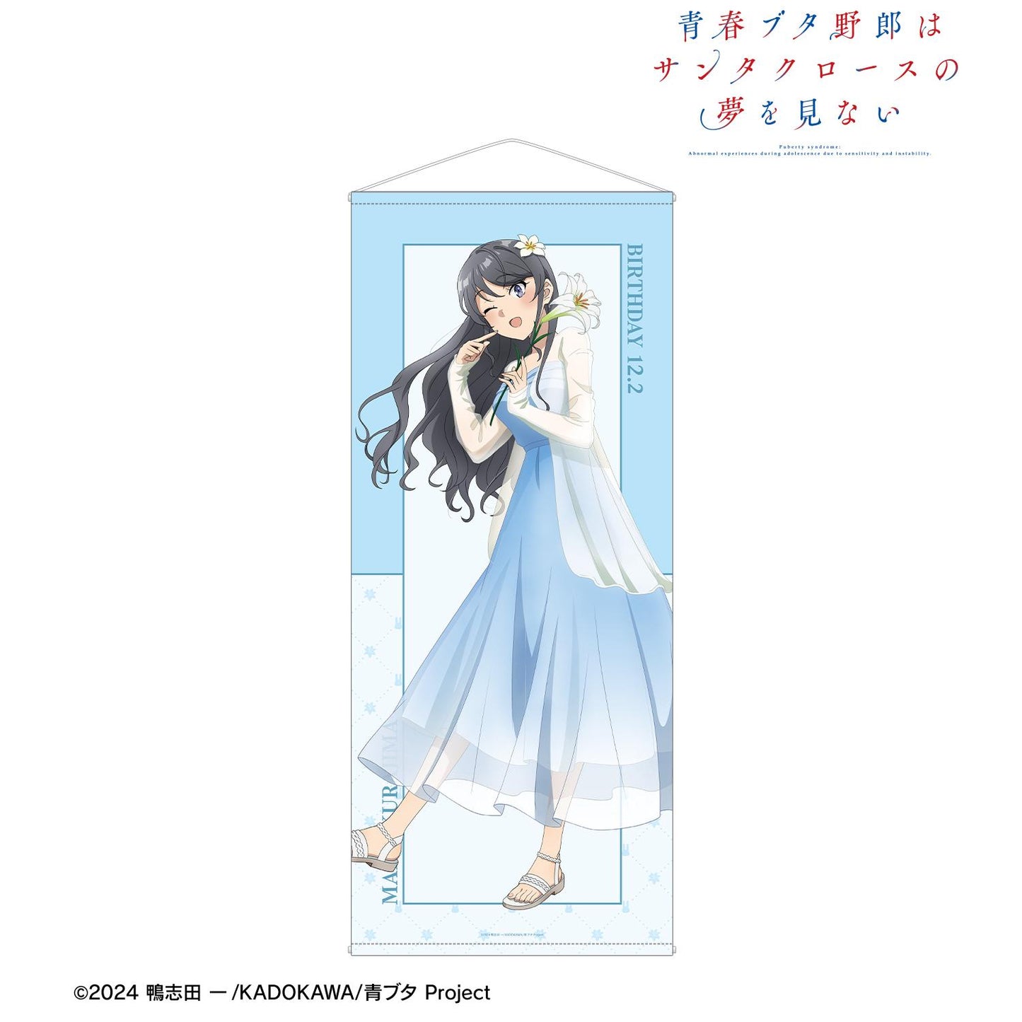 青春豬頭少年不會夢到聖誕老人_新繪製 桜島麻衣(夏) 等身大掛毯 <桜島麻衣 生日2025版>