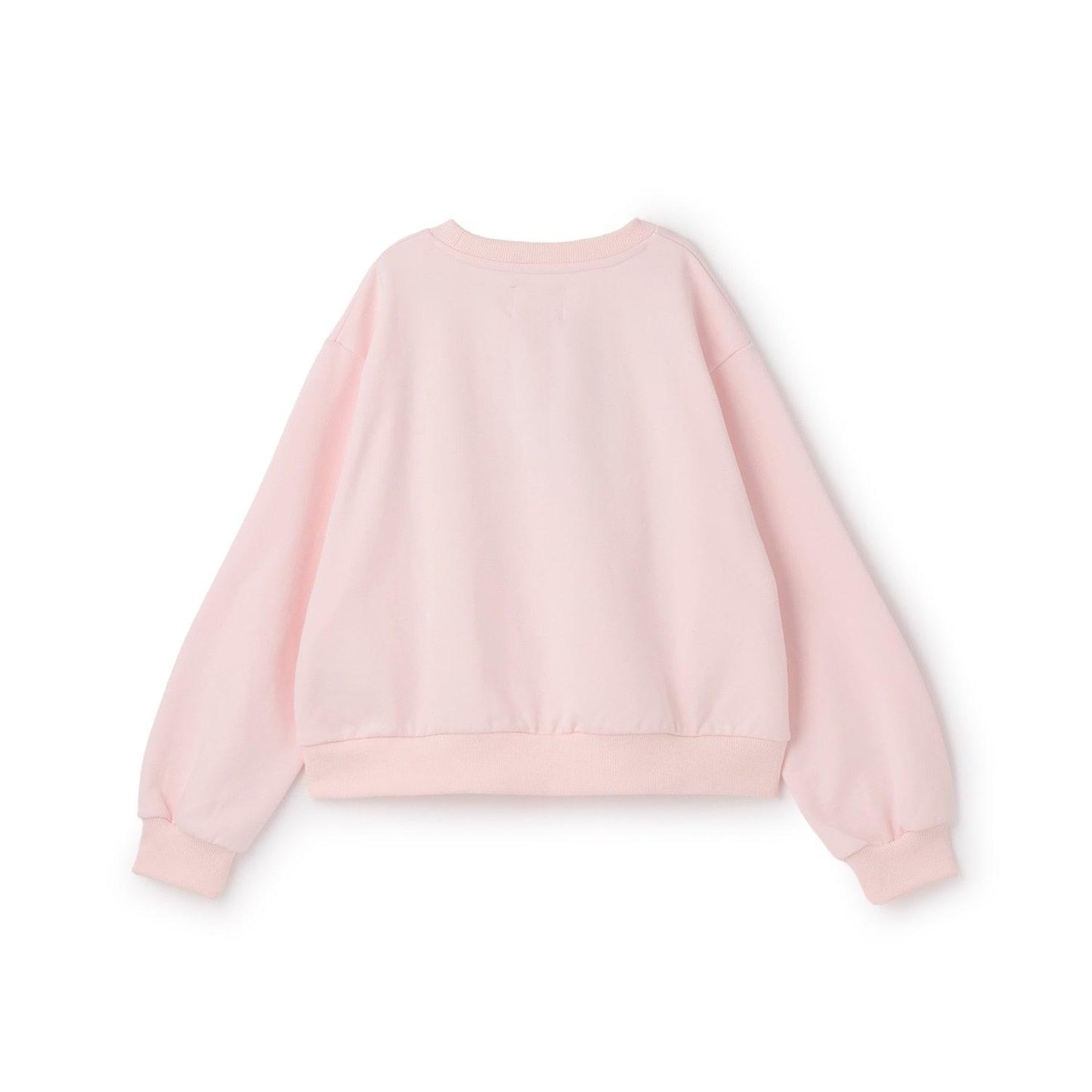 25週年紀念閃亮標誌衛衣