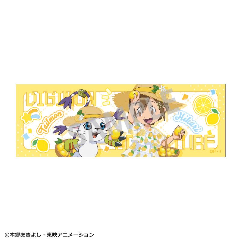 《數碼寶貝大冒險》長方形徽章 八神光&加布獸/水果派對