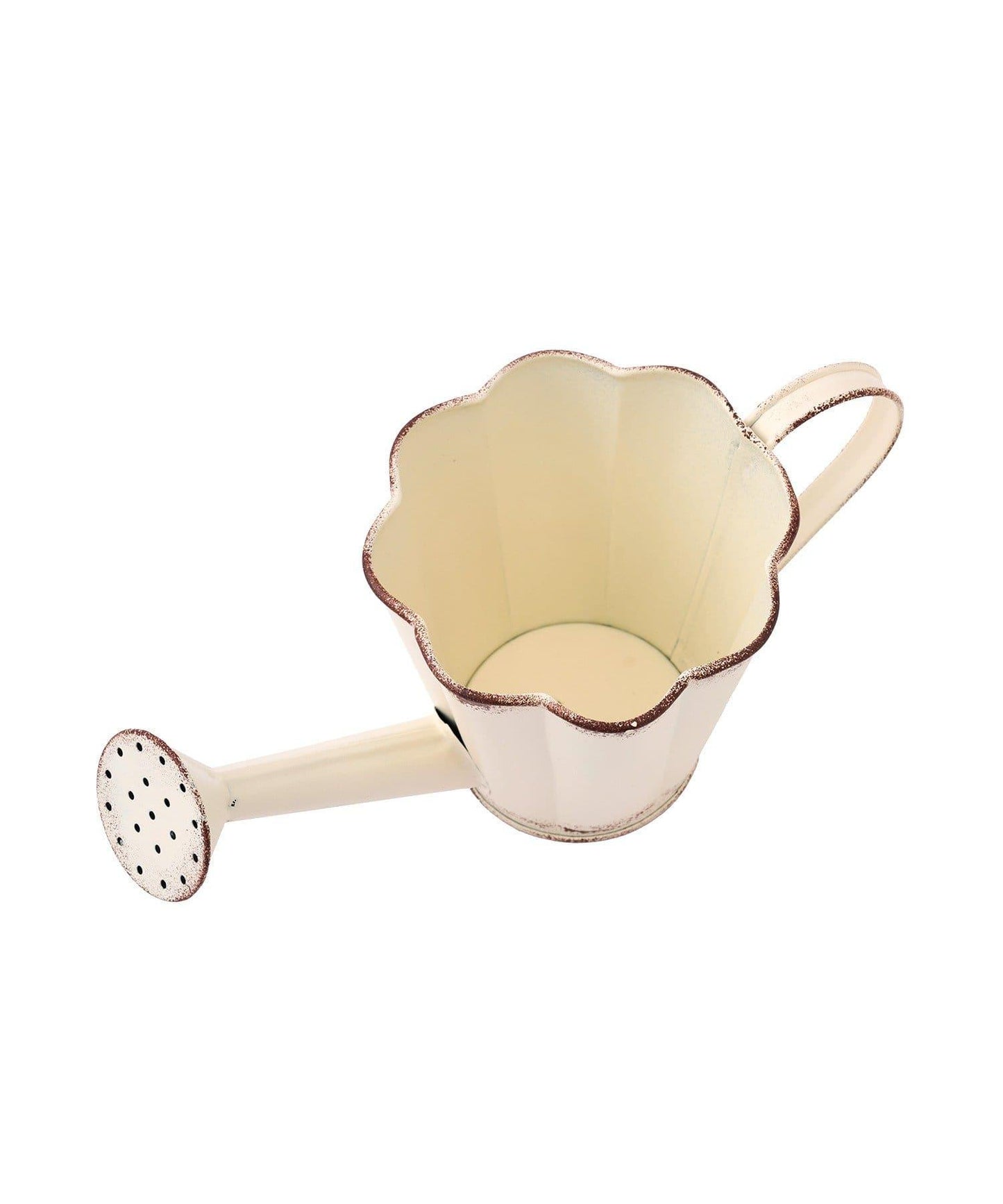 鐵製 Natural Country Garden 澆水壺