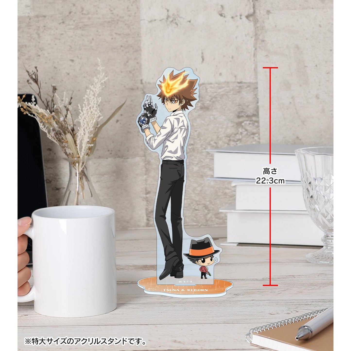 《家庭教師HITMAN REBORN!》(家庭教師HITMAN REBORN!) 新繪系列 沢田綱吉&リボーン 特大亞克力立牌 戦う背中×雨ver.