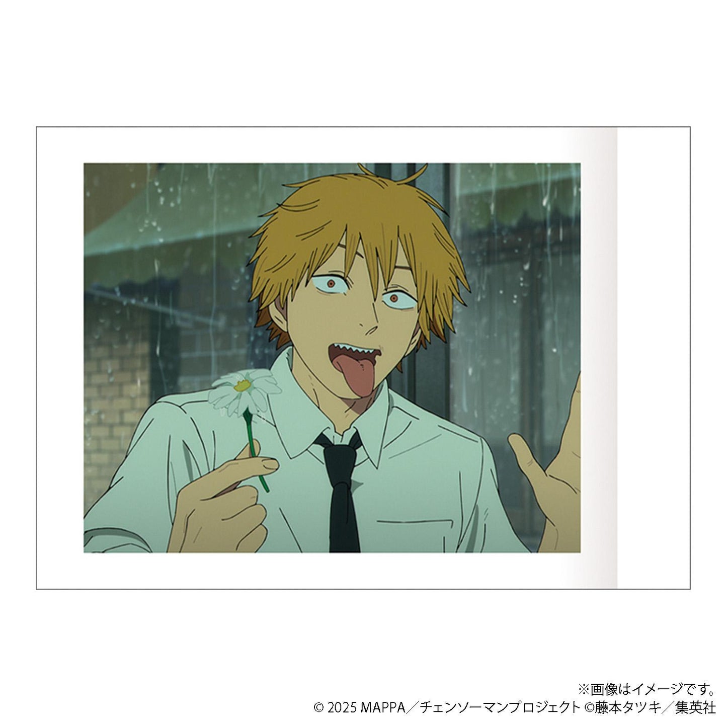 劇場版 《電鋸人》 レゼ篇(電鋸人 劇場版レゼ篇) 拍照卡系列 BOX套裝 10包入