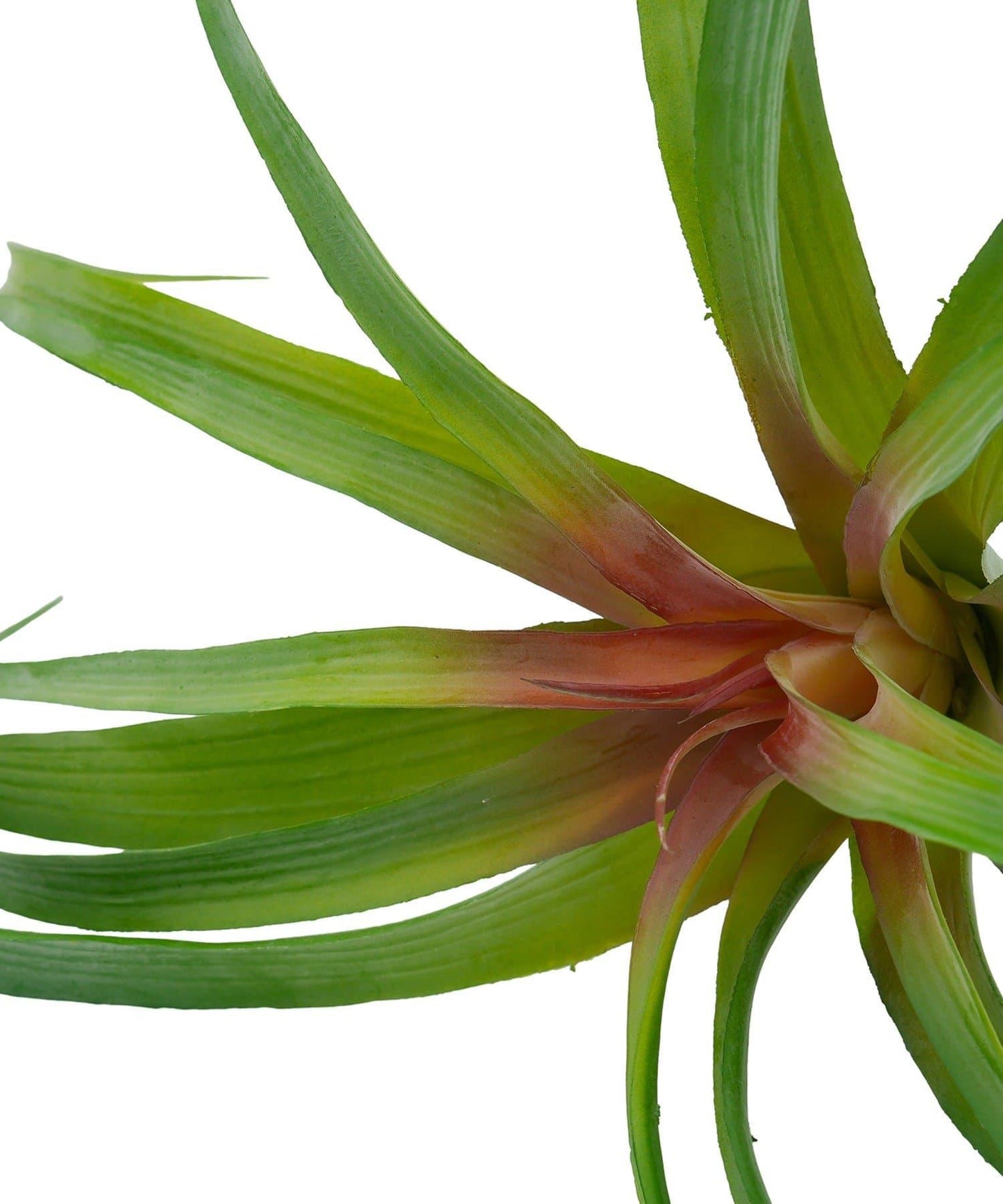 仿真空氣鳳梨 L號 仿真植物