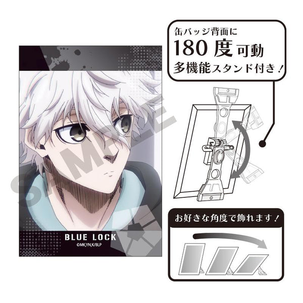 202366065