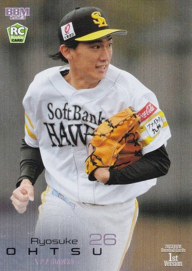 102647585