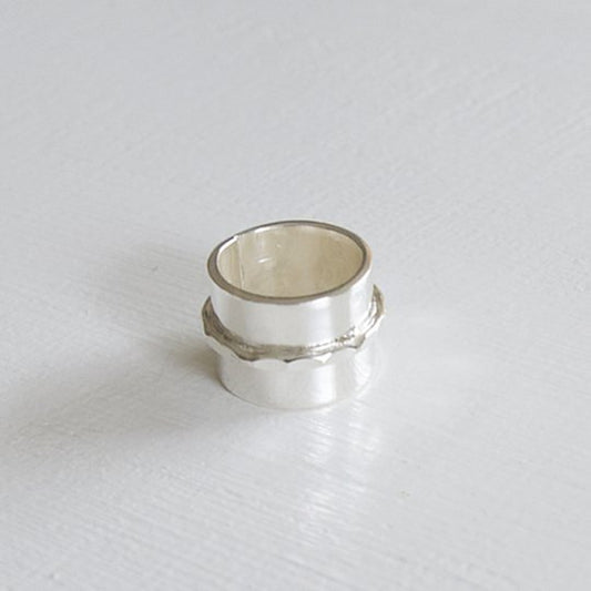 TOLKIEN ring(31) (Maria Rudman)