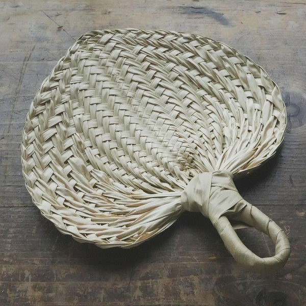 169954215