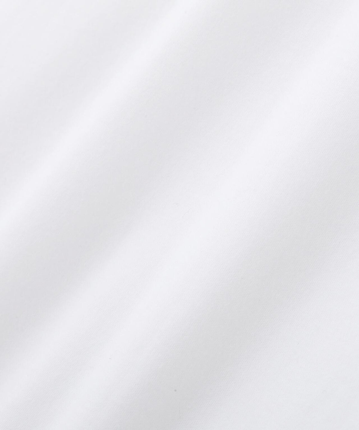 165601019