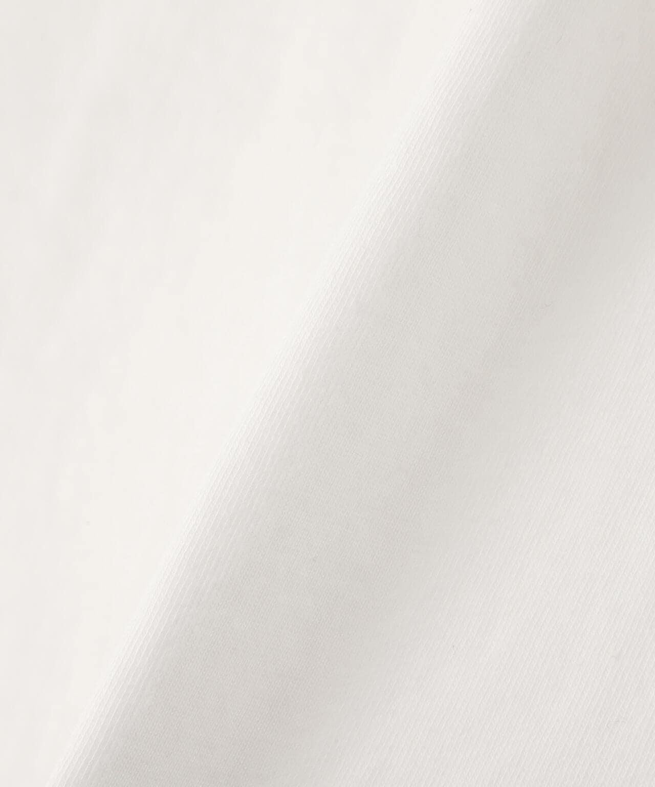 153955313