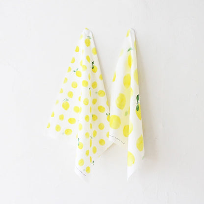 100859512