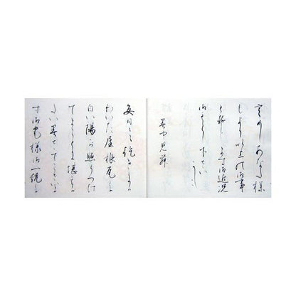 153373304