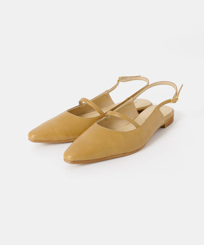 269456294