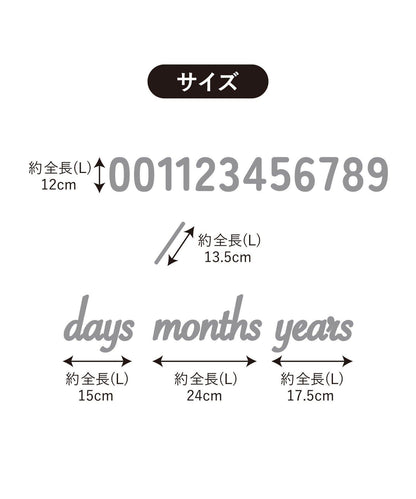 172754564