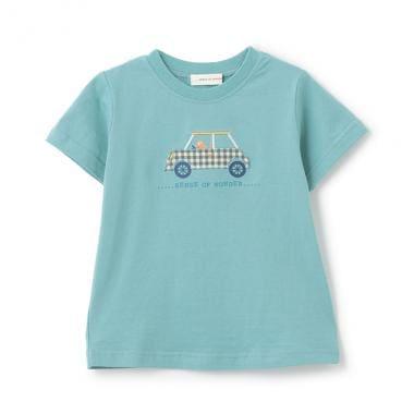 264451537