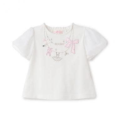 162933855