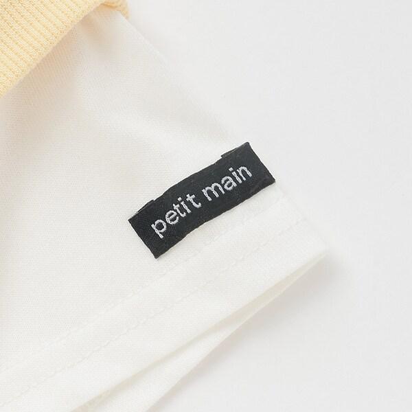 162880205
