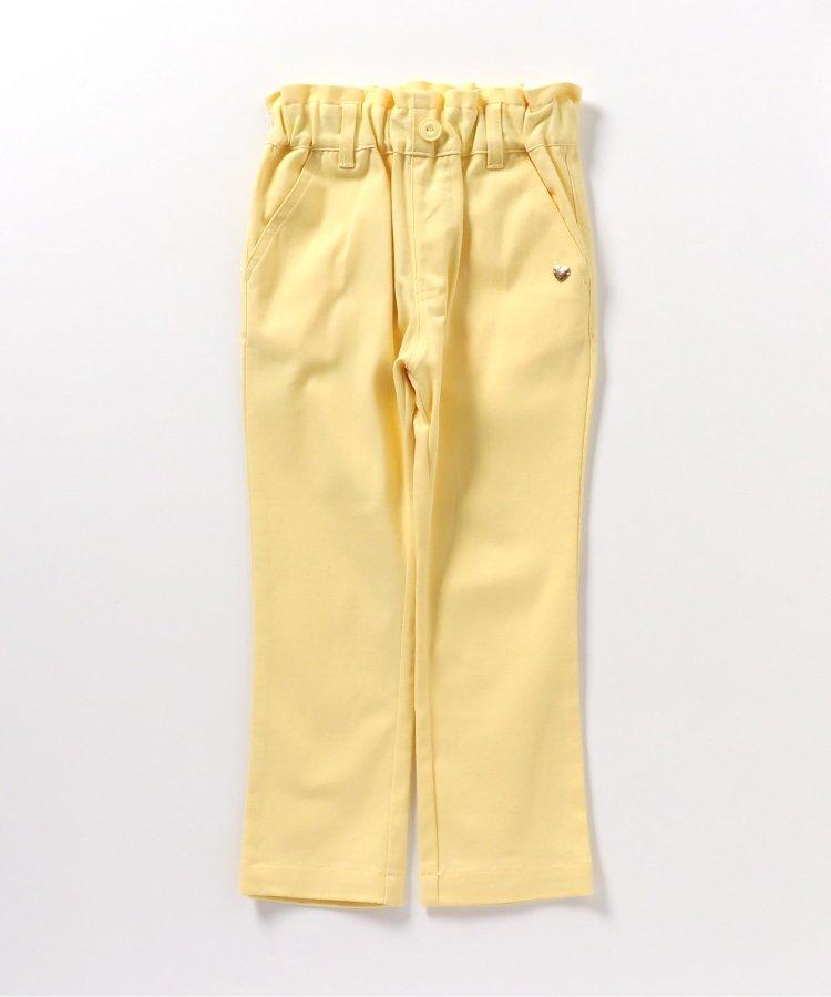 131649545