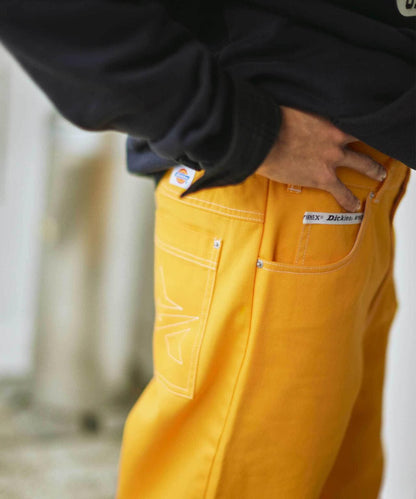 《Dickies × AVIREX》CARGO PANTS / 貨物褲 / カーゴパンツ