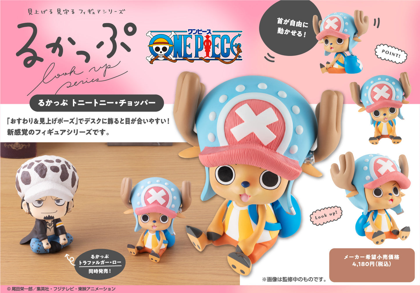 ONE PIECE 羅羅諾亞·索隆 託尼託尼·喬巴