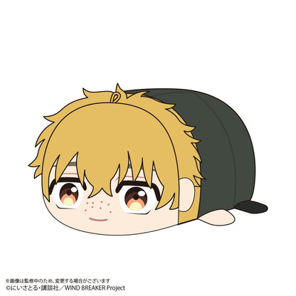 《防風少年》_WB-03 土豆球吉祥物【整盒】