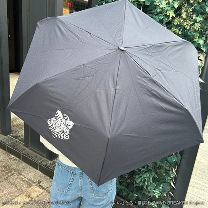 《防風少年》摺疊傘_防風傘