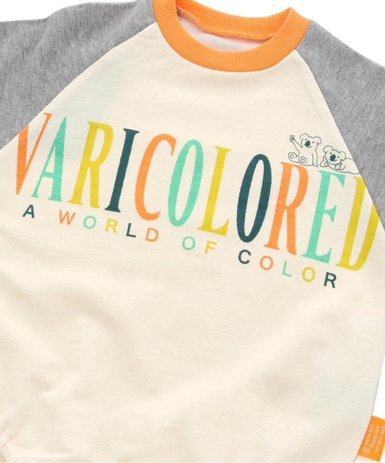 彩妝調色板身體乳